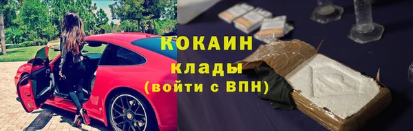 крисы Медногорск