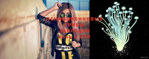 крисы Медногорск