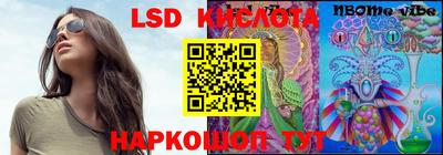 стаф Бийск