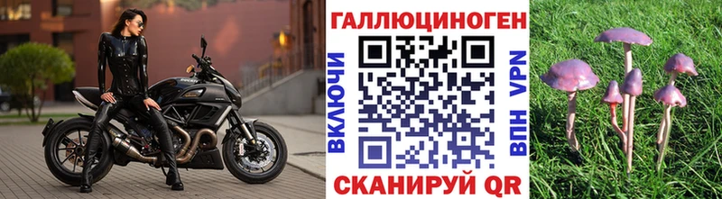 где найти   Бердск  Псилоцибиновые грибы мицелий 
