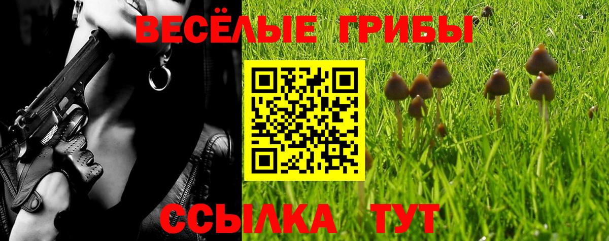 Псилоцибиновые грибы Cubensis Бердск